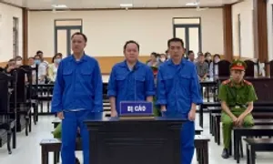Cựu Trạm trưởng giao thông đường thủy ở An Giang lĩnh hơn 5 năm tù Cựu Trạm trưởng giao thông đường thủy ở An Giang lĩnh hơn 5 năm tù