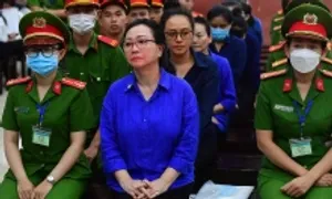 Bà Trương Mỹ Lan xin được tham gia phương án phục hồi SCB Bà Trương Mỹ Lan xin được tham gia phương án phục hồi SCB