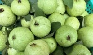 5 quả ăn thường xuyên hỗ trợ giảm cân 5 quả ăn thường xuyên hỗ trợ giảm cân