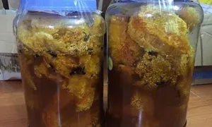 Rượu ngâm động vật có trị xuất tinh sớm? Rượu ngâm động vật có trị xuất tinh sớm?