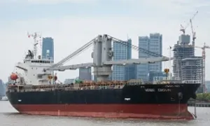 Tàu quốc tịch Panama đâm tàu cá Việt Nam, 4 ngư dân tử vong Tàu quốc tịch Panama đâm tàu cá Việt Nam, 4 ngư dân tử vong