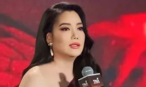 Trương Ngọc Ánh: 'Tôi suy sụp vì ồn ào nợ nần'