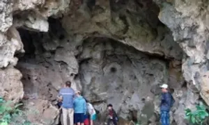 Phát hiện nhiều bộ xương và hộp sọ trong hang đá ở Nghệ An Phát hiện nhiều bộ xương và hộp sọ trong hang đá ở Nghệ An