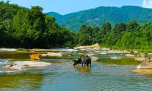 Những điểm tham quan ít người biết ở Nha Trang Những điểm tham quan ít người biết ở Nha Trang