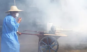Bệnh Chikungunya có nguy hiểm không?