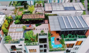 Chi 3 tỷ đồng làm vườn rau, ao cá trên tầng 30