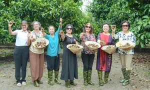 Vì sao dưỡng lão bán trú nở rộ?