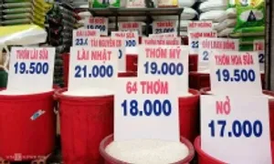 Giá bán lẻ gạo trong nước neo cao dù xuất khẩu lao dốc