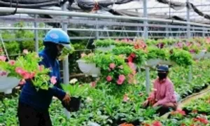 Một ngày trải nghiệm thu Hà Nội với tour riêng